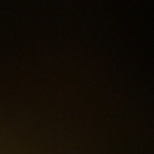 Meet your Posher, Daisy